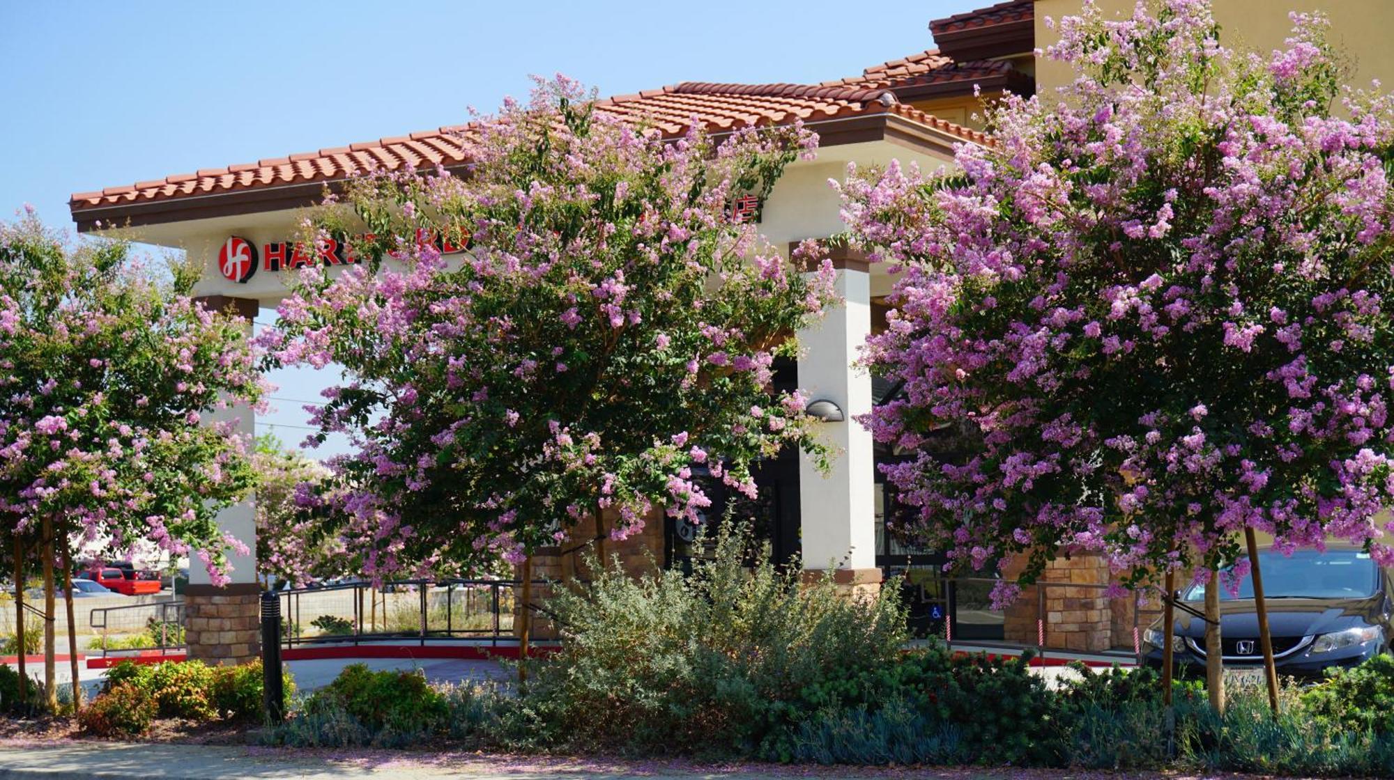 Hartford Hotel Best Western Signature Collection Rosemead Luaran gambar